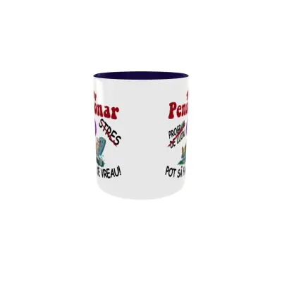 Sunt pensionar, cana ceramica, 330ml, cgs1822